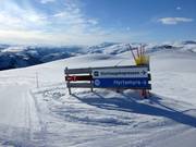 Junctions are clearly marked