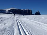 Cross-country trails on the Seiser Alm with the Schlern in the background