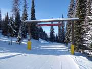 Cross-country trails in SilverStar Mountain Resort