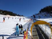 Magic Carpet at Kanzelhöhe