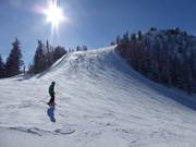 Waldfrieden slope on the Hochwurzen
