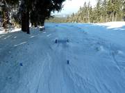 Small Funpark Proeller