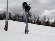 Snow cannon in the Snowpark