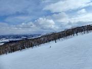Wide slope at East Mt.
