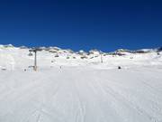 Slope No. 10 Aletsch