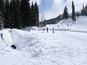 Magic Carpet Solitude