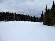 Easy and wide slope La Laurentienne