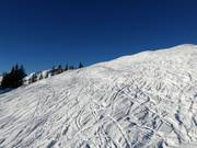 Ski route Riedkopf