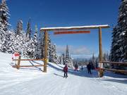 The Bergerstrasse leads to Vance Creek