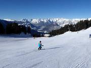 Runs at the Hochoetz mountain station