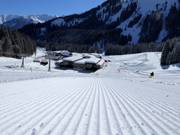 Optimal slope grooming in the Ifen ski area