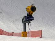Snow cannon on the valley run