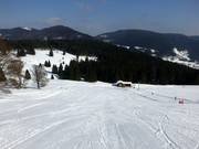 Schwinbach Run FIS