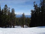 Slope with view of Lake Tahoe