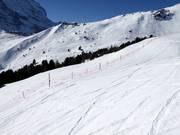 Wildlife protection zones are cordoned off