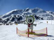 Tip for children  - Bibo Bear Family Ski Park