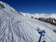 Off-piste runs at Cima Vioz