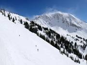 Steep terrain starting from the High Traverse