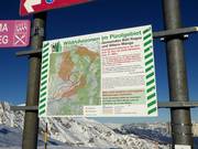 Wildlife protection zones in the ski area