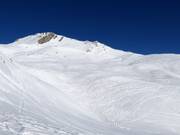 Plenty of open ski terrain