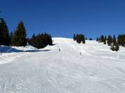 Hahnenmoos Run