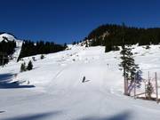 Achtergraben downhill run