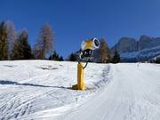 Snow cannon in the Carezza ski area