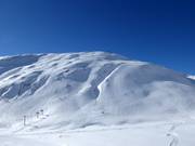 Powder slopes at Calmut