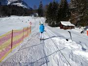 Skikinderland Loser Mega-Star - Rope tow/baby lift with low rope tow