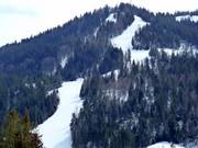 View of the FIS standard slope Kohlerhang