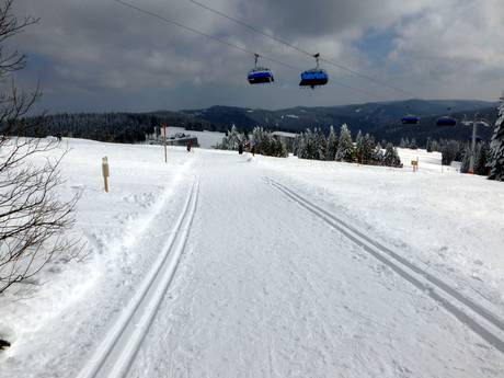 Cross-country skiing Todtnau – Cross-country skiing Feldberg – Seebuck/Grafenmatt/Fahl