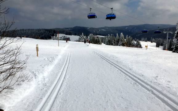 Cross-country skiing Breisgau-Hochschwarzwald – Cross-country skiing Feldberg – Seebuck/Grafenmatt/Fahl
