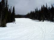 Kalina's Rainbow downhill run