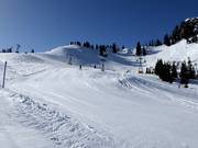 Saanerslochgrat-Saanenwald slope