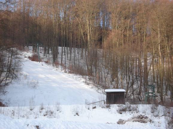 Forest run at the Wurzelbrunnen lift