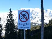 It’s your forest, too