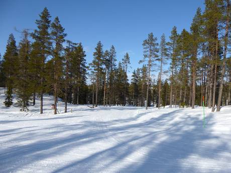 Central Sweden: environmental friendliness of the ski resorts – Environmental friendliness Idre Himmelfjäll