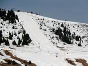 Derrière Pertuis - T-bar