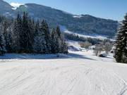 Valley run Ascher to Altenmarkt