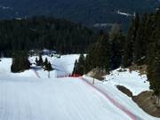 Kaltwasserlift - T-bar