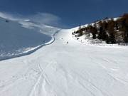 Difficult slope No. 13 from Cimaross