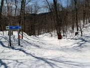 Challenging forest run