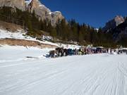 Horse-drawn sleighs at the end of the Lagazuoi slope