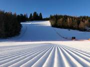 Very good slope grooming