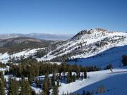 View of the forest clearing runs