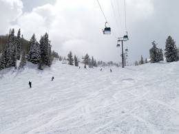 Snowbasin