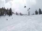 Very good slope grooming