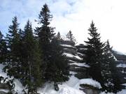 The well-known Dreisesselfelsen is located about 1 km from the mountain station.