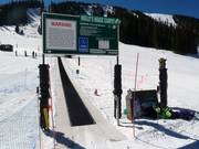 Molly's Magic Carpet