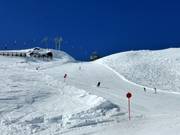 Black Bergwiesen Run